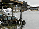DSCN6508.JPG