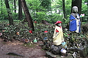 nashinokijizo01.JPG