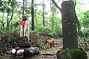 nashinokijizo08.JPG