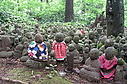 nashinokijizo10.JPG
