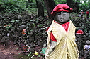 nashinokijizo15.JPG
