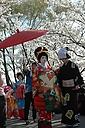 oiran01.jpg