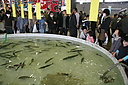 sakanamatsuri14.JPG
