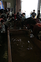 sakanamatsuri23.JPG