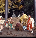 tsuburosashi01.jpg